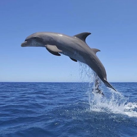 Foto di nudo di fuga di OnlyFans di Jellyfishinnut