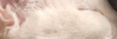 Foto di nudo di fuga di OnlyFans di Ivan Pero En Cuarentena