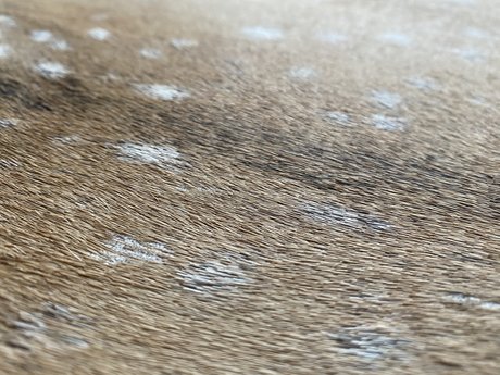 Foto di nudo di fuga di OnlyFans di Matteo