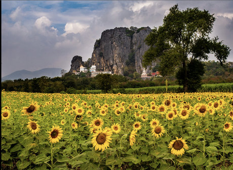 Foto di nudo di fuga di OnlyFans di Elizabeth Faith