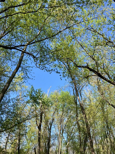 Foto di nudo di fuga di OnlyFans di Harlee