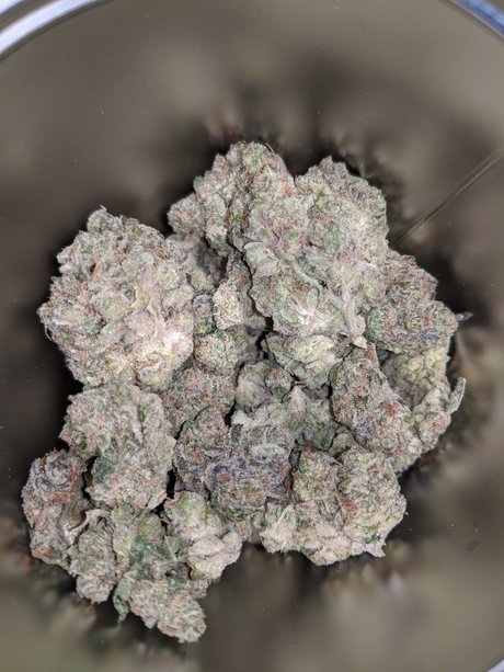 Foto di nudo di fuga di OnlyFans di Jager1029