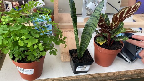 Foto di nudo di fuga di OnlyFans di Caddy Rogers