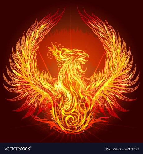 The Dark Bird Of Light