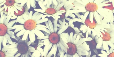 Foto di nudo di fuga di OnlyFans di Aria M