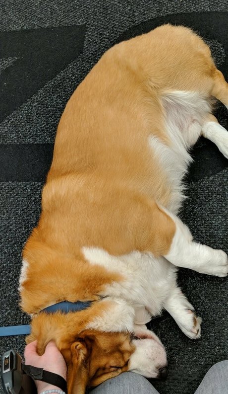 Sincerelysarahtrickler