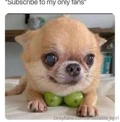 Foto di nudo di fuga di OnlyFans di Anastasiatgirl