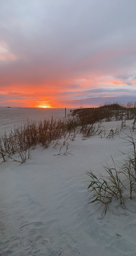 Foto di nudo di fuga di OnlyFans di Mk