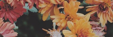 Foto di nudo di fuga di OnlyFans di Abdul Elsahili 