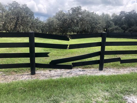 Macaroot Mikes Bjs Free