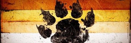 Foto di nudo di fuga di OnlyFans di Icanseequeerly