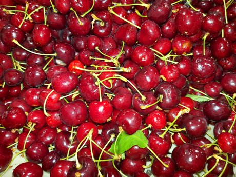 Foto di nudo di fuga di OnlyFans di 