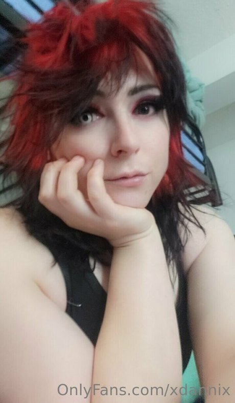Xdannix