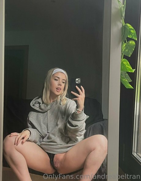 Andreabeltran