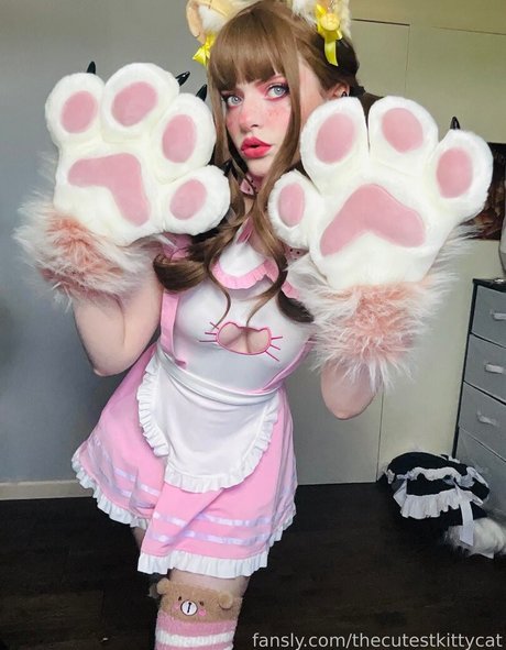 Thecutestkittycat