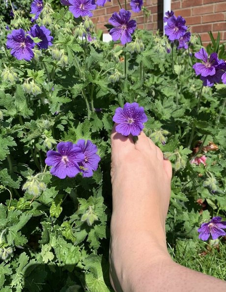 Ravenclawslostdiadem