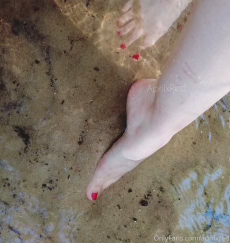 Aprilxredfree