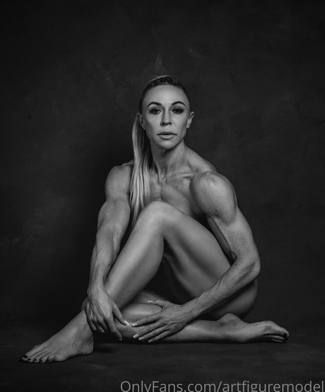 Artfiguremodel
