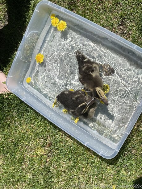 Xsluttycupcakex6669x