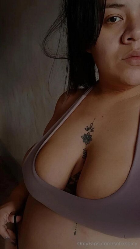 Sofixspicy