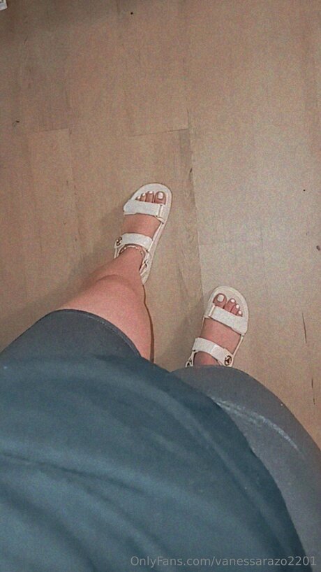 Vanessarazo2201