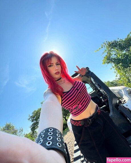 Solomonica De Winter