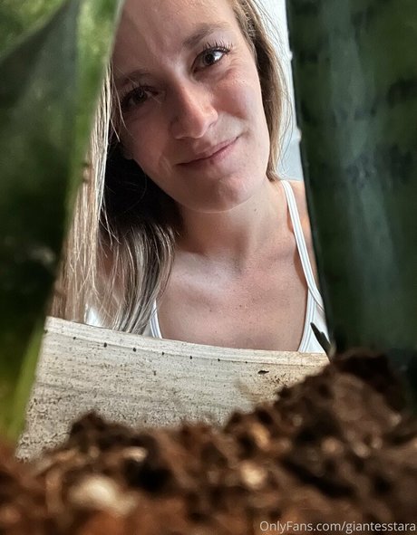 Giantesstara