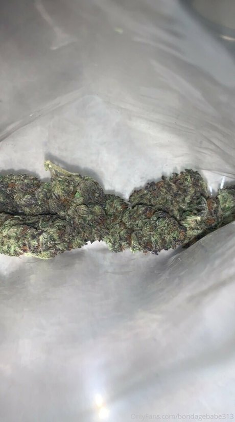 Bondagebabe313