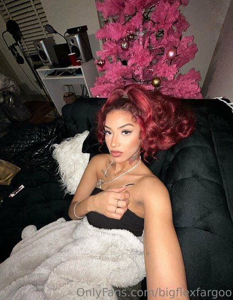 Bigflexfargoo