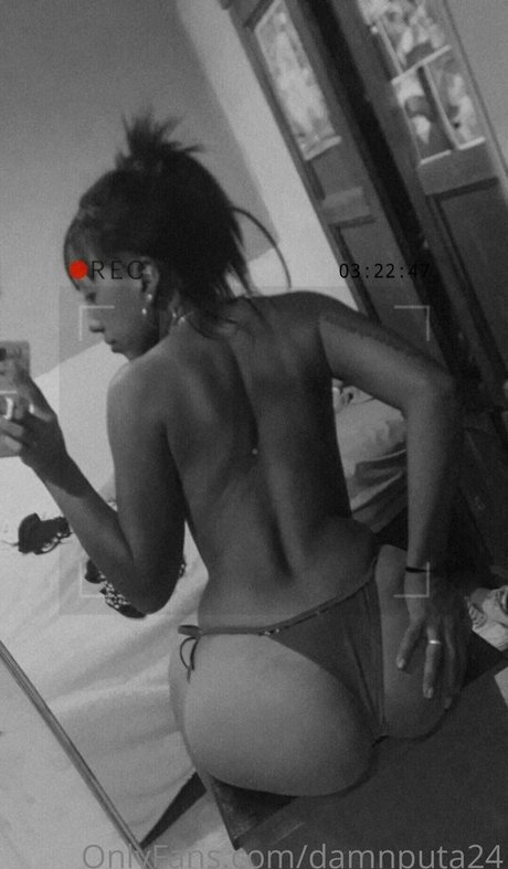 Damnputa24