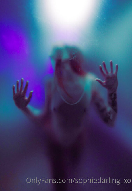 Sophiedarlingxo