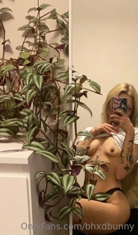 Bhxdbunny