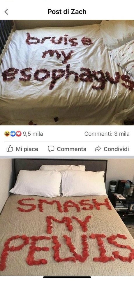 Erszebetbathory666vip