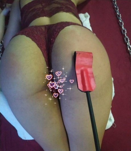 Gatas De Santa Maria Rs