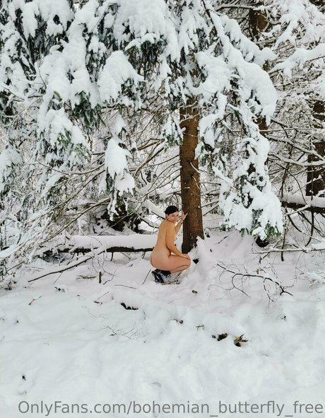 Bohemianbutterflyfree