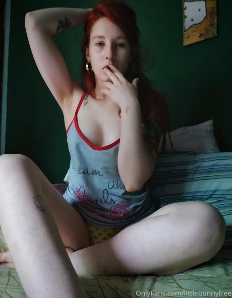 Littlebunnyfree