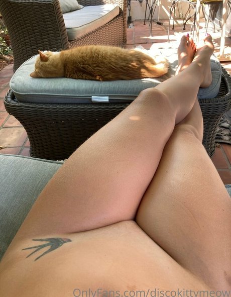 Discokittymeow