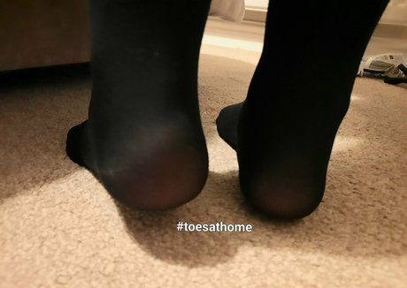 Homefortoes