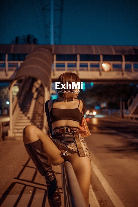 Exhmi