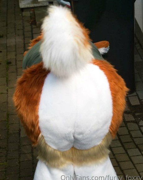 Furryfoxxy