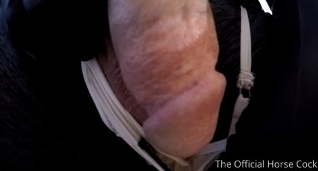 Horsecock