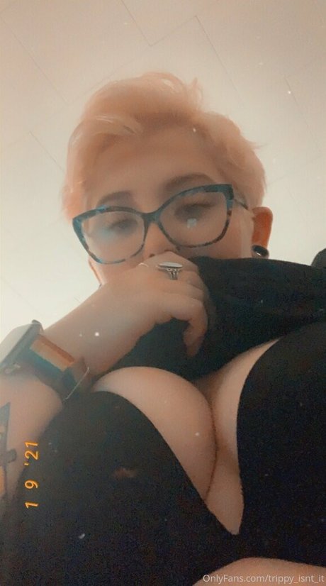 Trippyisntit