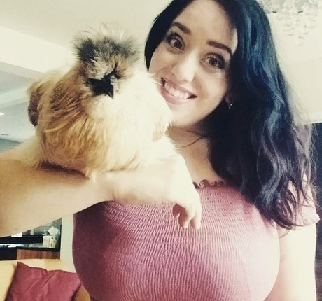 Lartdanstoutessesformes