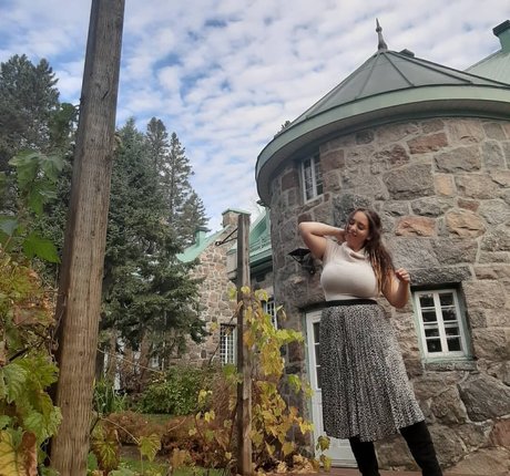 Lartdanstoutessesformes