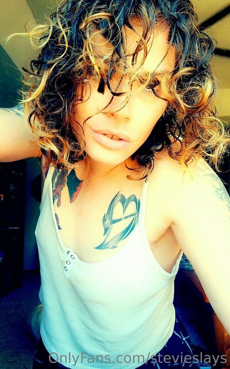 Stevieslays