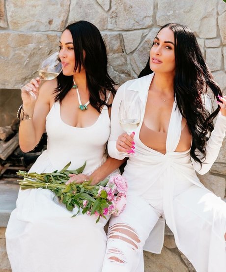 The Bella Twins