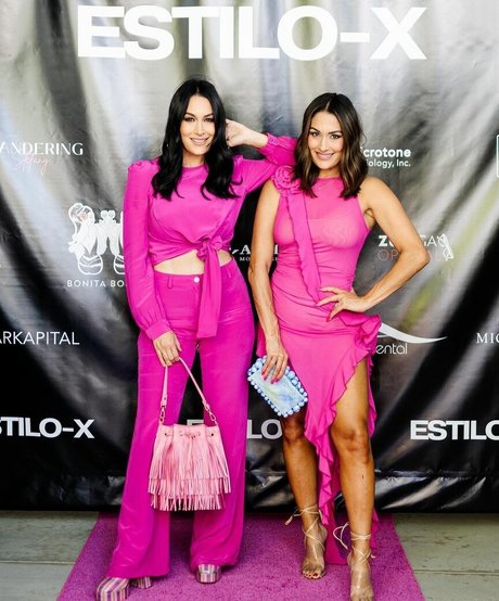 The Bella Twins