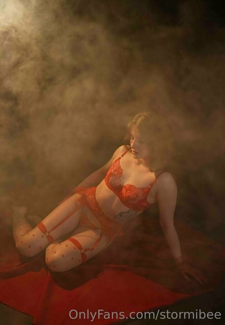 Stormibee