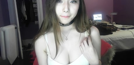 Xchocobars