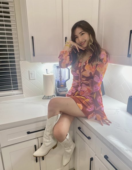 Xchocobars